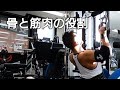 情熱!筋トレTUBE!骨と筋肉の役割