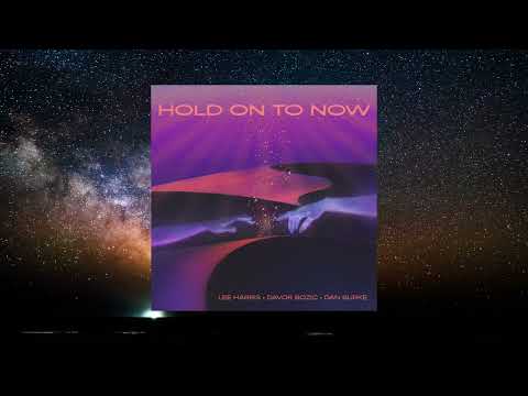 Hold On To Now - Lee Harris, Davor Bozic, and Dan Burke