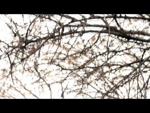 Official  Video for "Michael's Song", by Alison May