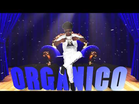 BREILY ONE - ORGANICO (Audio Official)