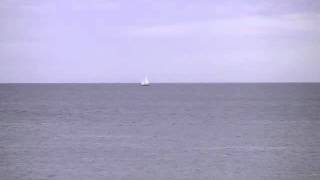 FRANK ZAPPA -- ANYWAY THE WIND BLOWS