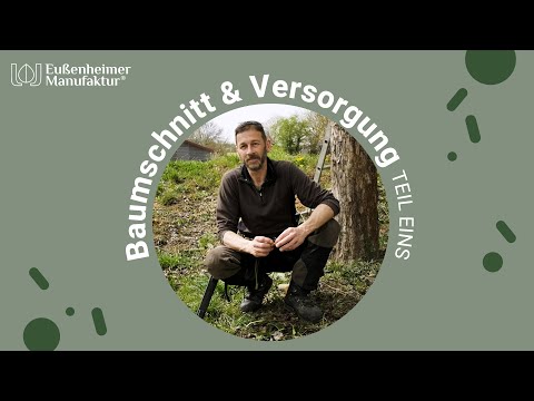 🌳 Baumschnitt & Versorgung - TEIL 1 Ganzheitliche Baumpflege