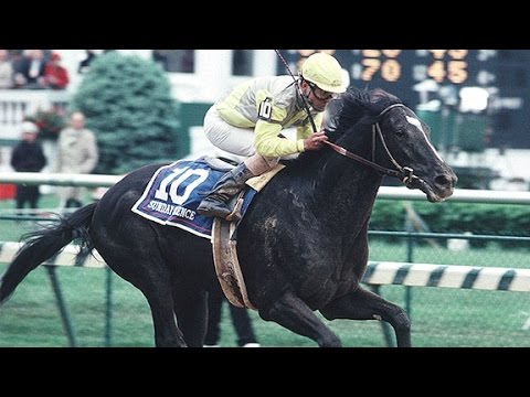 1989 Kentucky Derby - Sunday Silence