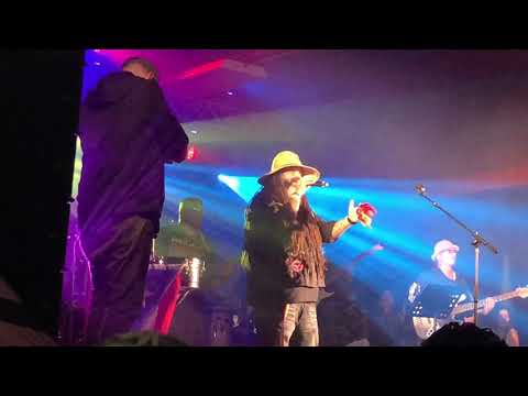 Gomba Fest 2020, Festival de Reggae Roots Con Gombajabari