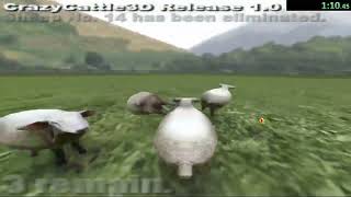 Cover art for Crazy Cattle