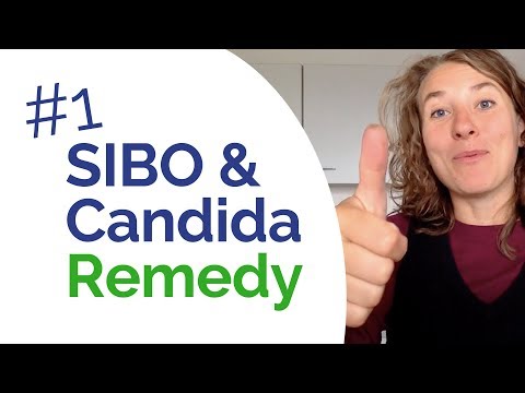 SIBO and Candida - The #1 Remedy that Helps You Heal BOTH