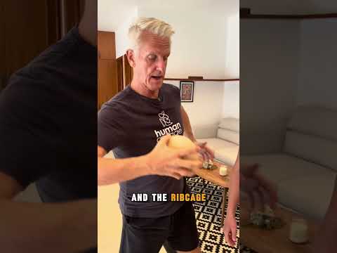 Makarlu Fascial Maneuver Tool