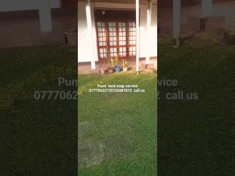 pumi landscap service available,call us.we make your home garden beuty .