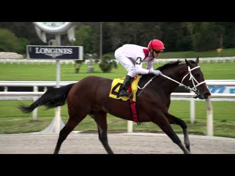 211002 c02 NEW HONOUR