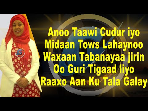 SEYNAB LABADHAGAX   ''TAWAAWIC''  MUSIC  OFFICIAL VIDEO LYRICS 2022
