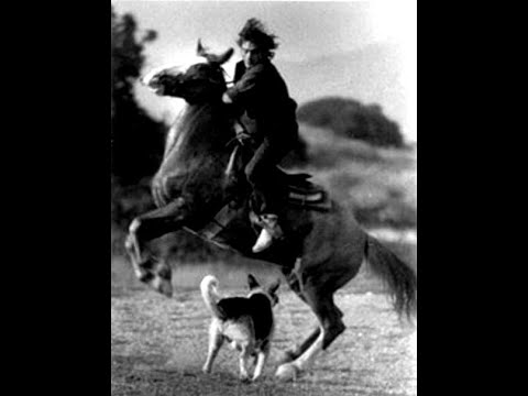 Te llevaré a mi Lof (video)