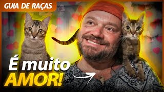 Miniatura do vídeo