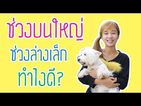 สาเหตุหน้าอกเล็ก ขยายเต้านมจาก Dashi Pynzar