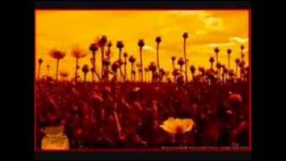 Opium - Marcy Playground