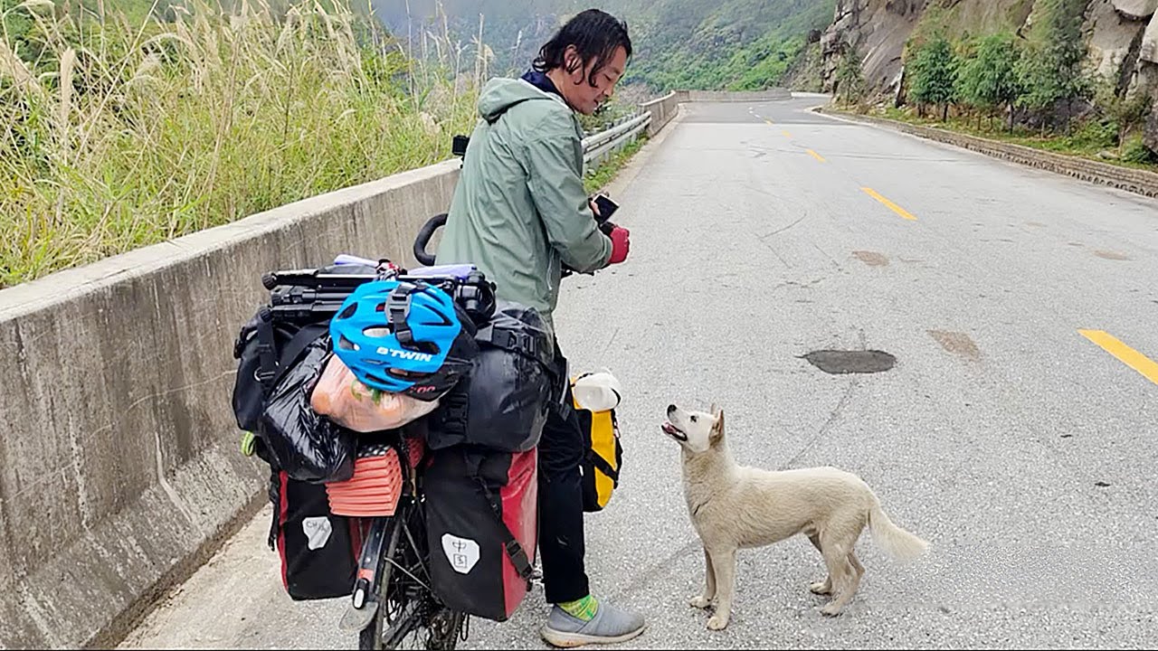 "If you follow us to campsite,I'll take you in"A stray dog followed a cycling couple for over 200 km
