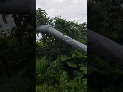 Ape razvratite la Trestieni !