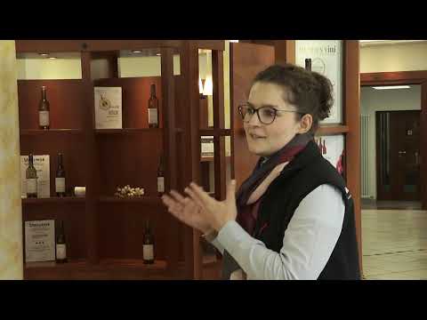 3nach7 Keller-Show: WG Königschaffhausen-Kiechlinsbergen