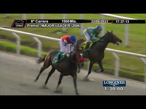 230422 c08 VIP AVENUE