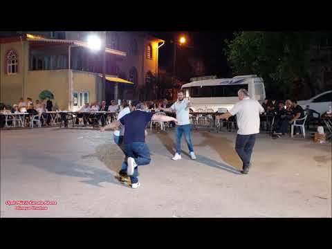 Bal yapmayan Arıdan Bahcede Erik Dalı Kıyıdan 2025 İlk Kez Yayında Ahmet Taş HD video