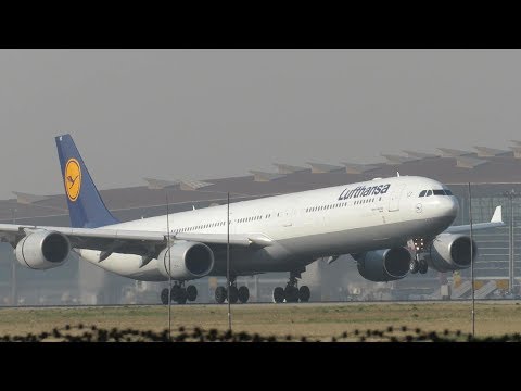 Lufthansa LH720 A346 [D-AIHZ] landing at Beijing Capital Airport