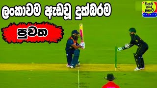 Highlights of the Sri Lanka Australia Third T20 Tournament 2022|sl vs aus t20 2022|srilanka cricket