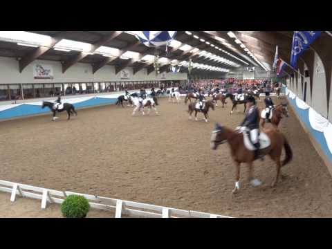 NK carrousel 2016 - Bleijenbergs Caballitos
