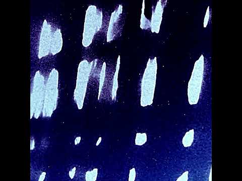 Jalvey - Unassisted (Official Audio)