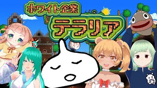 【Terraria】灰ブロックレース - MWU視点【＃ホワイト企業テラリア】
