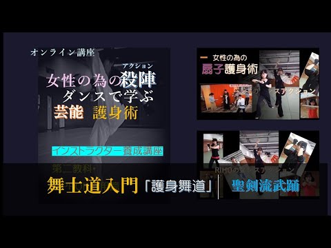 聖剣流芸能護身術とは？