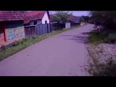 Comuna Petris - Arad