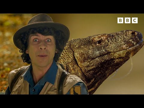 Andy and the Komodo Dragon | Safari Adventures | Andy's Amazing Adventures