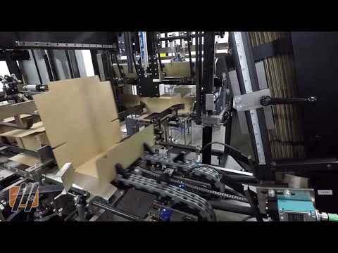 Wrap Around Case Packer for Blocks of Cheese | Massman Automation