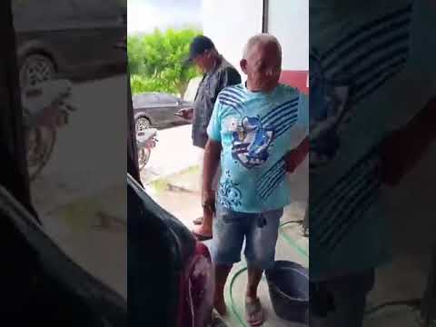 GALO SOM ITABAIANINHA SERGIPE