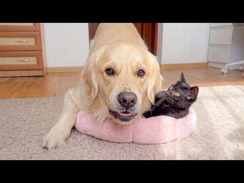 YouTube 썸네일