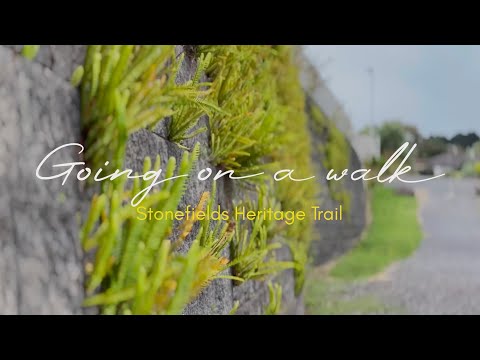 Stonefields Heritage Trail walk