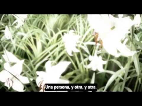 [AMV] Ai Otsuka - Cherish [Sub. Español]『HYBRID CHILD』