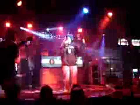 Batalla de los gallos chile 2008 prueba de cobardia