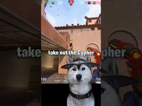 How to win any 1v1 with Cypher #valorant #cypher #acrethedog