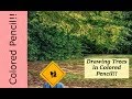 Drawing Trees in Colored Pencil-Demo