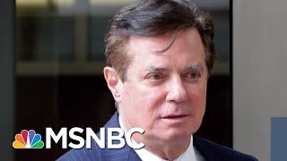 Watergate Prosecutor: Manafort Plea Deal 'Basically Pardon Proof' | The Beat With Ari Melber | MSNBC