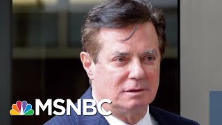 Watergate Prosecutor: Manafort Plea Deal &#39;Basically Pardon Proof&#39; | The Beat With Ari Melber | MSNBC