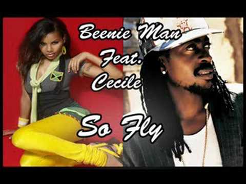 Beenie Man FEAT. Cecile- So Fly(Hi-quality)