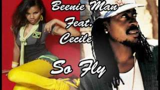 Beenie Man FEAT. Cecile- So Fly(Hi-quality)