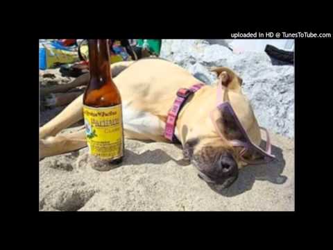 Poetika & Stihovno Vojuvanje - Avanturiteeee