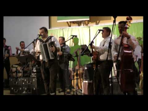 Harmonika Spieler mit Die Untersteirer