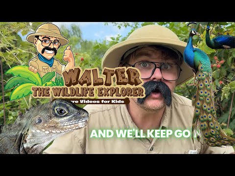 Meet Walter the Wildlife Explorer - Nature Videos for Kids