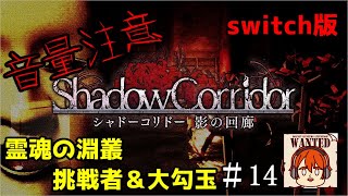 【ライブ配信】※絶叫注意※　霊魂、挑戦者行けるか！？【switch版　シャドーコリドー　影の回廊】