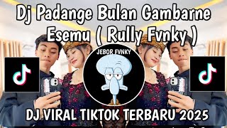 Download lagu DJ PADANGE BULAN GAMBARNE ESEMU RULLY FVNKY || DJ KAWITANING SINAWANG VIRAL TIKTOK TERBARU 2025 mp3