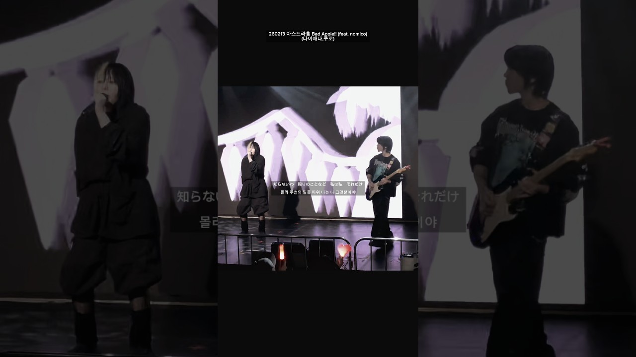 공연에서 배드애플 부르기 | #배드애플 #badapple #동방프로젝트