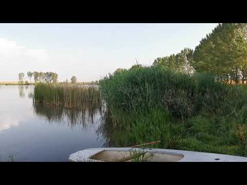 Balta de pescuit Giurgita sau lacul Buzatu din Dolj